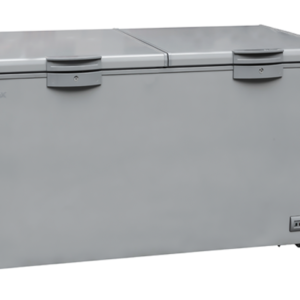 CONGELATEUR HORIZONTAL BD(W)-700 COFFRE 700L
